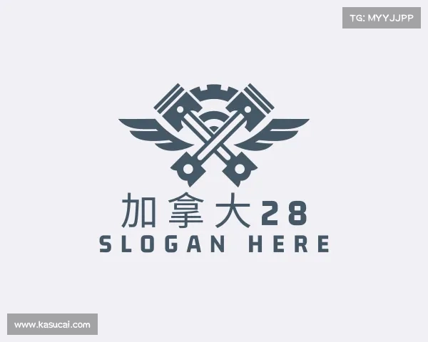 解读加拿大28